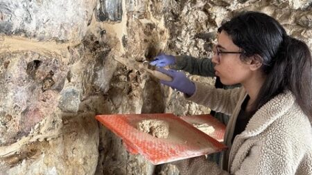 دعوة للطلبة الجزائريين إلى المشاركة في منتدى الشباب بروسيا