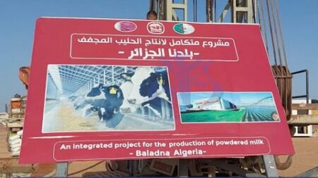 أدرار تحتضن أكبر مشروع لإنتاج الحليب المجفف بشراكة قطرية وأبقار أمريكية