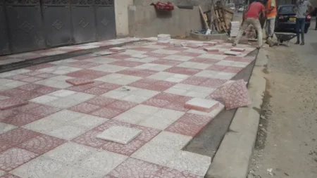 اخضاع البرامج التنموية و سبل تسييرها بتسالة المرجة للمعاينة