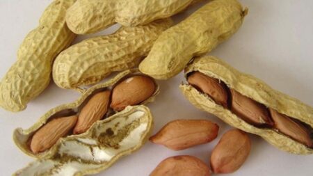 الفول السوداني.. فوائد لا تخطر على بال