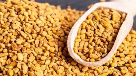 تعتبر من الأعشاب المفيدة.. الحلبة وتأثيراتها على مرضى ضغط الدم