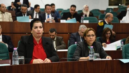 النواب يثمنون مشروع قانون حماية الأشخاص ذوي الاحتياجات الخاصة