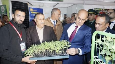 الصالون الدولي للفلاحة الصحراوية “أغرو سوف 2024” يستقطب 120 عارضا وطنيا وأجنبيا