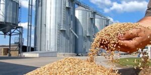 البيض.. الانطلاق في إنجاز 6 مراكز جوارية لتخزين الحبوب