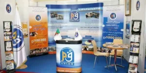 الطارف : تمويل 73 مشروعا منذ مطلع 2024 من طرف الوكالة الوطنية لتسيير القرض المصغر