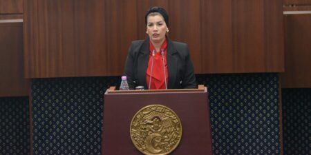 عرض مشروع قانون يتعلق بحماية الأشخاص ذوي الاحتياجات الخاصة وترقيتهم
