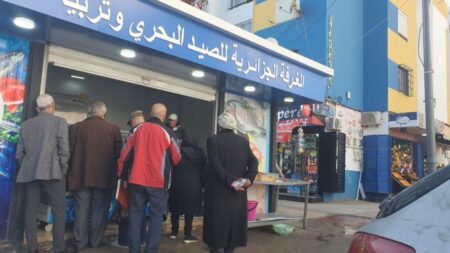 فتح 390 نقطة بيع مباشر لمنتجات الصيد البحري وتربية المائيات عبر مختلف ولايات الوطن