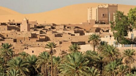 رئيس بلدية تاغيت ببشار.. درج بطول 450 مترا للوصول إلى أعلى الكثبان الرملية