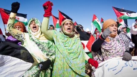 الشعب الصحراوي يواصل كفاحه المشروع بكافة الوسائل المشروعة لاستعادة سيادته الكاملة