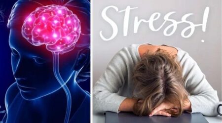 دراسة حديثة تكشف.. الضغط النفسي يزيد من حساسية الجلد