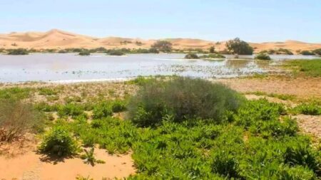 بحيرة تافقومت.. ثراء إيكولوجي وتنوع طبيعي ساحر