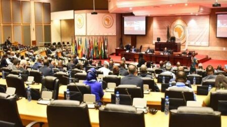 البرلمان الإفريقي يدين بشدة تدخل البرلمان الأوروبي في الشؤون الداخلية للجزائر