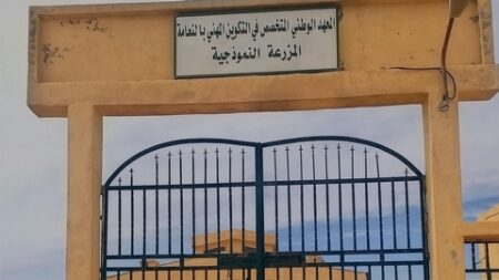 2050 منصبا تكوينيا لفائدة شباب النعامة