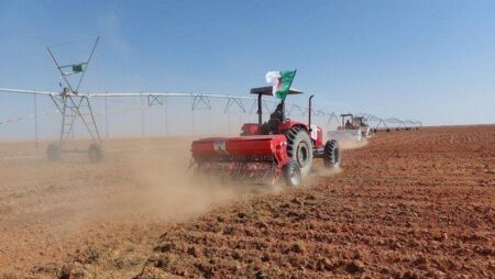 مشروع جزائري-إيطالي لزراعة قصب السكر والحبوب بالمنعية