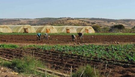انطلاق عملية المراقبة البعدية للإحصاء العام للفلاحة عبر التراب الوطني