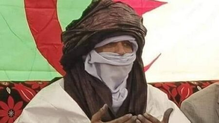 أمين عقال وأعيان طاسيلي ناجر.. الحاج البكري غومة يؤكد: لائحة البرلمان الأوروبي ضد الجزائر فاقدة لأي مصداقية