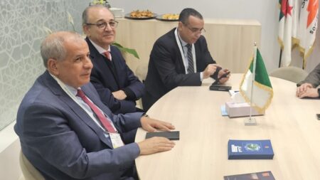 مشروع “ممر الهيدروجين الجنوبي” : حشيشي يشارك بروما في منتدى أعمال  الدول المعنية