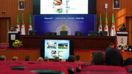 البرنامج الوطني للتكوين في البرمجة والذكاء الاصطناعي ينطلق من جامعة المسيلة 