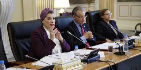 وزيرة التضامن تعرض قانون حماية ذوي الاحتياجات الخاصة على مجلس الأمة