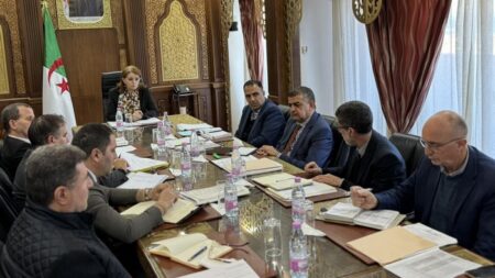 مداحي تعلن عن خطة استراتيجية شاملة لتحديث وتطوير قطاع الصناعة التقليدية في 2025
