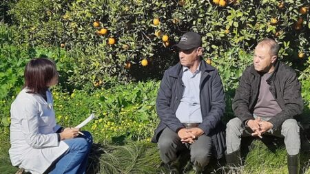 انتقاء مجموعة فلاحين لتصدير منتوجاتهم بالعاصمة