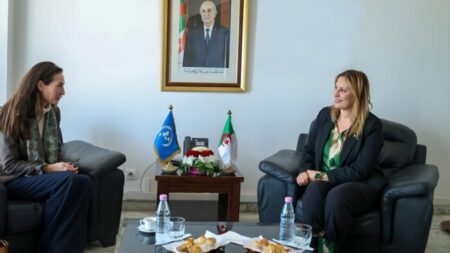 جيلالي تناقش تنفيذ المشاريع البيئية مع ممثلة الأمم المتحدة الإنمائي