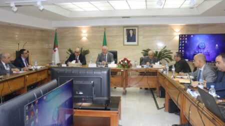 المالية والوظيفة العمومية تتفقان على التنسيق المشترك لتحسين الأداء الحكومي