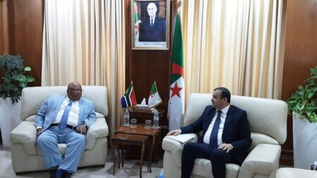عرقاب وسفير جنوب إفريقيا يتفقان على شراكة استراتيجية في الطاقة والموارد الطبيعية