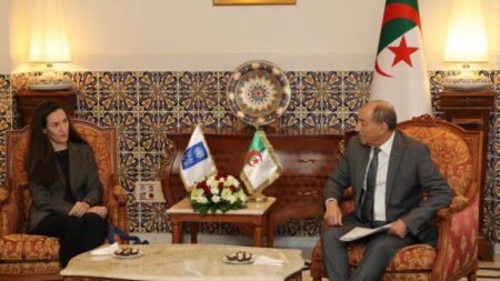 رئيس المحكمة الدستورية يستقبل الممثلة المقيمة لبرنامج الأمم المتحدة الإنمائي