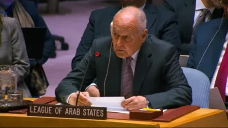 أبو الغيط يشيد بمبادرة الجزائر لعقد جلسة هامة من أجل تدعيم العلاقة بين الجامعة العربية ومجلس الأمن