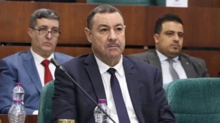 سعيود: الجوية الجزائرية شرعت في الاستلام التدريجي لـ8 طائرات في إطار الاستئجار