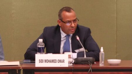 ممثل جبهة البوليساريو بالأمم المتحدة.. سيدي محمد عمر يؤكد: المغرب يمارس إرهاب دولة في الصحراء الغربية المحتلة