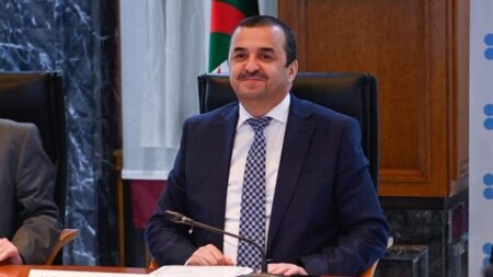 عرقاب.. سنة 2024 تجسد إرادة الجزائر في الاستمرار والنمو في قطاع الطاقة والمناجم