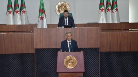 وزير الثقافة والفنون يؤكد على مواصلة إنجاز وتجهيز مكتبات المطالعة العمومية عبر مختلف الولايات