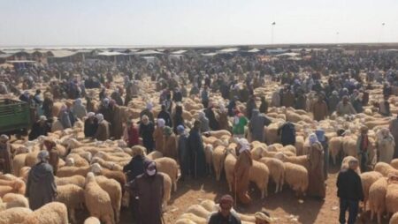 الوالي أمر بغلق أسواق الماشية الأسبوعية.. الحمى القلاعية تؤرق الموالين  