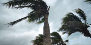 تواصل هبوب رياح قوية قد تصل سرعتها 120كلم/سا على عديد ولايات الوطن