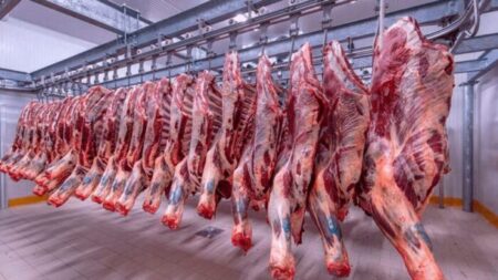 الجزائرية للحوم الحمراء تستقبل شحنة طازجة من إيطاليا بأسعار تنافسية
