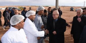 شرفة: الجلفة تحقق وثبة نوعية في قطاع الفلاحة