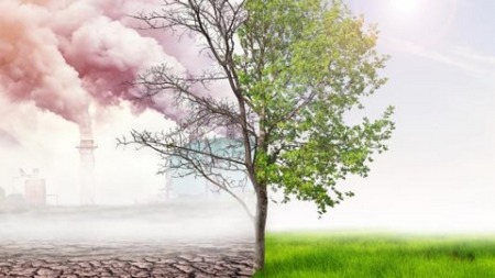 بعيدا عن مشاكل التنفس التي يُحدثها.. التلوث قد يُخفض قوة التركيز
