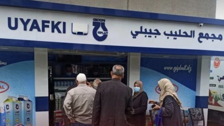 مجمع “جيبلي” يكشف عن خفض فاتورة استيراد مسحوق الحليب بـ17 مليون دولار