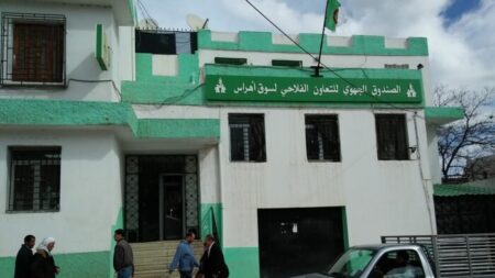 تعديل شامل للنظام الداخلي لصناديق التعاون الفلاحي لتعزيز الحوكمة والتنظيم