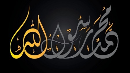 تفضيل النبي صلى الله عليه وسلم على سائر الأنبياء