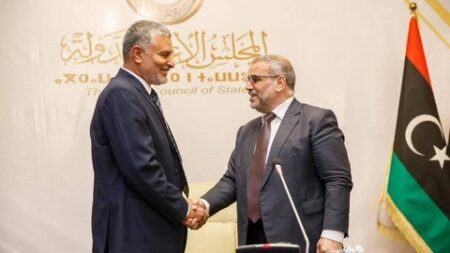 مبادرة المشري وتكالة.. هل تضع حدا لانقسام مجلس الدولة في ليبيا؟