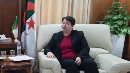 طافر تشارك بجنوب إفريقيا في معرض “مينينغ إندابا”
