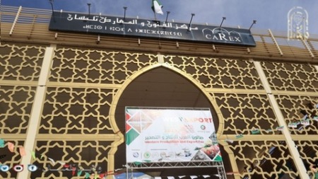 الجزائر تصدّر حاويات من مسحوق الخروب ومشتقات الزنك إلى 45 دولة