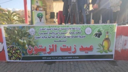 البويرة.. مشاركة استثنائية للمنتجين في العيد الجهوي لزيت الزيتون 