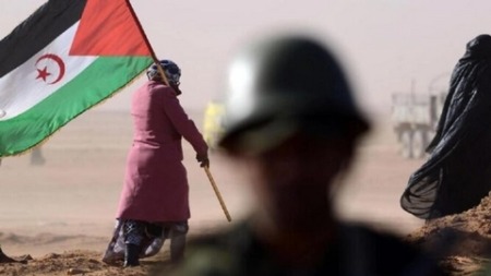 عضو بالحكومة الفرنسية في زيارة استفزازية للصحراء الغربية المحتلة  