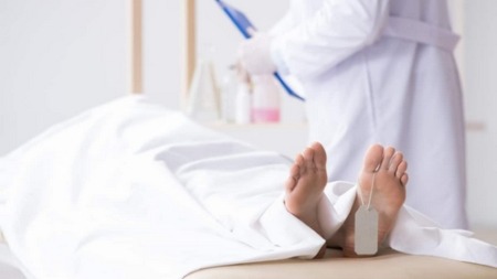 العلم والإيمان.. صنائع المعروف تقي مصارع السوء