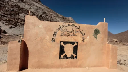 المنظمة الوطنية لأبناء الشهداء تنظم ندوة حول التفجيرات النووية الفرنسية في الجزائر