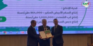 ورقلة.. منح عقود امتياز لتجسيد مشاريع استثمارية مستقبلية بالولاية 